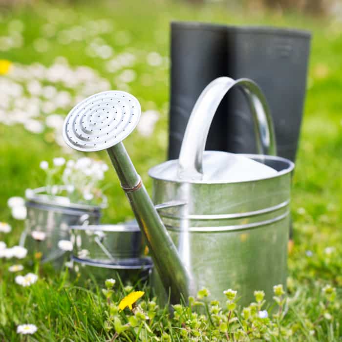 watering can | Cathie's Gardening School