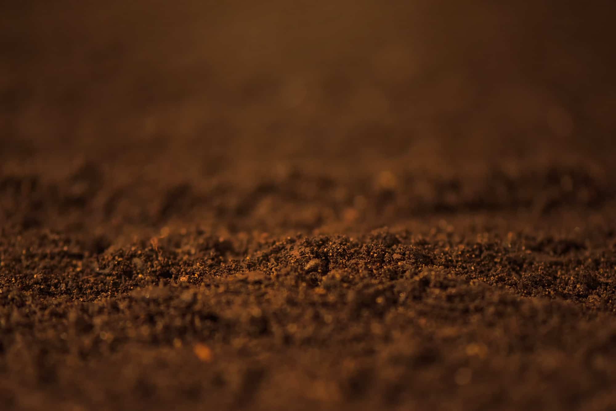Soil close up